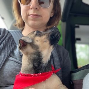 Meet your Posher, Claire